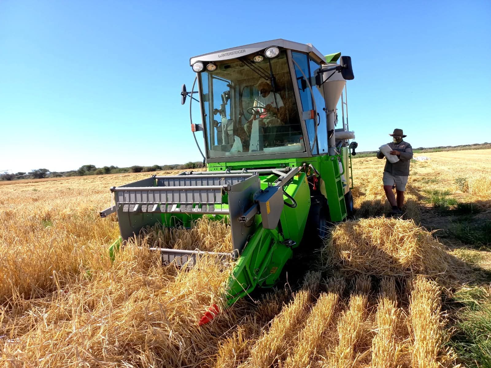 Winner: Fagan Scheepers