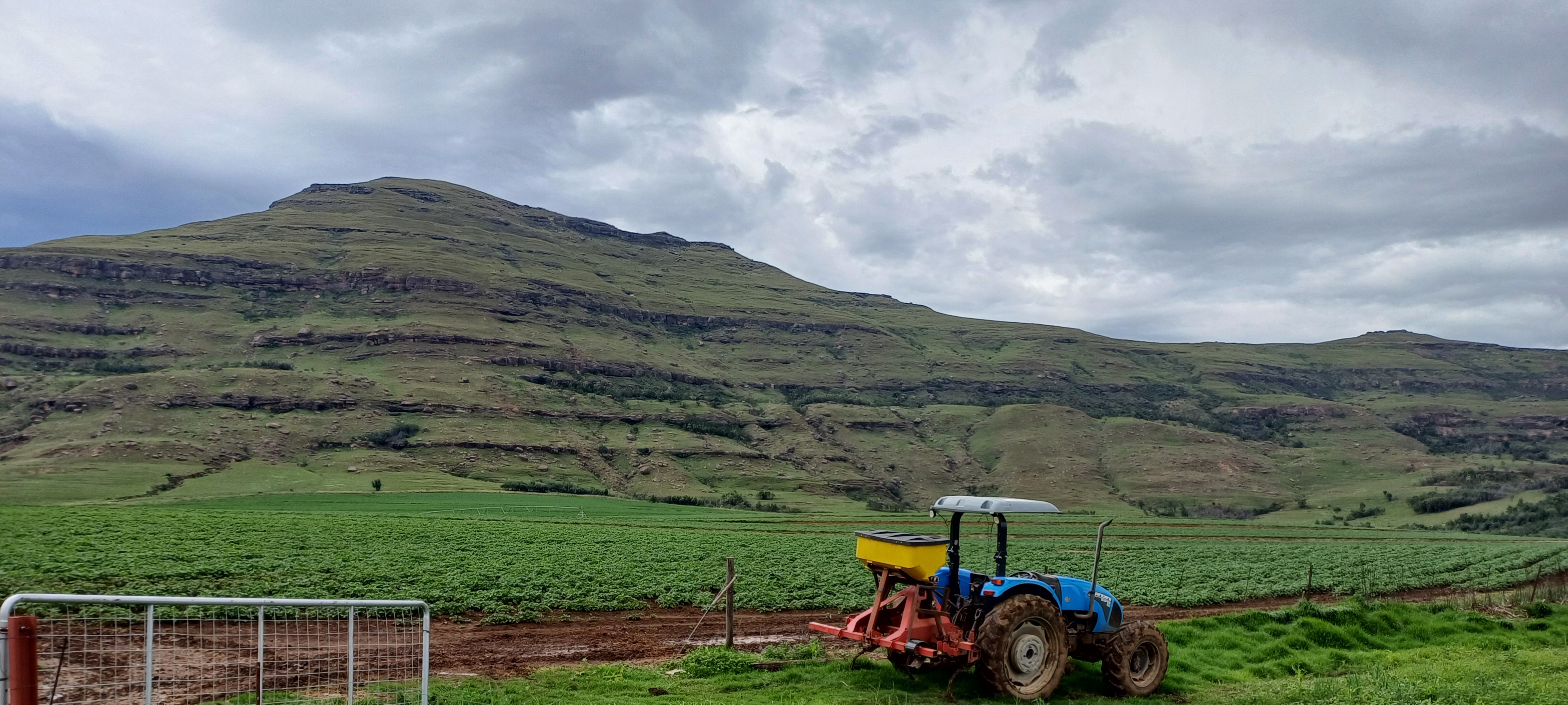 Winner: Fagan Scheepers